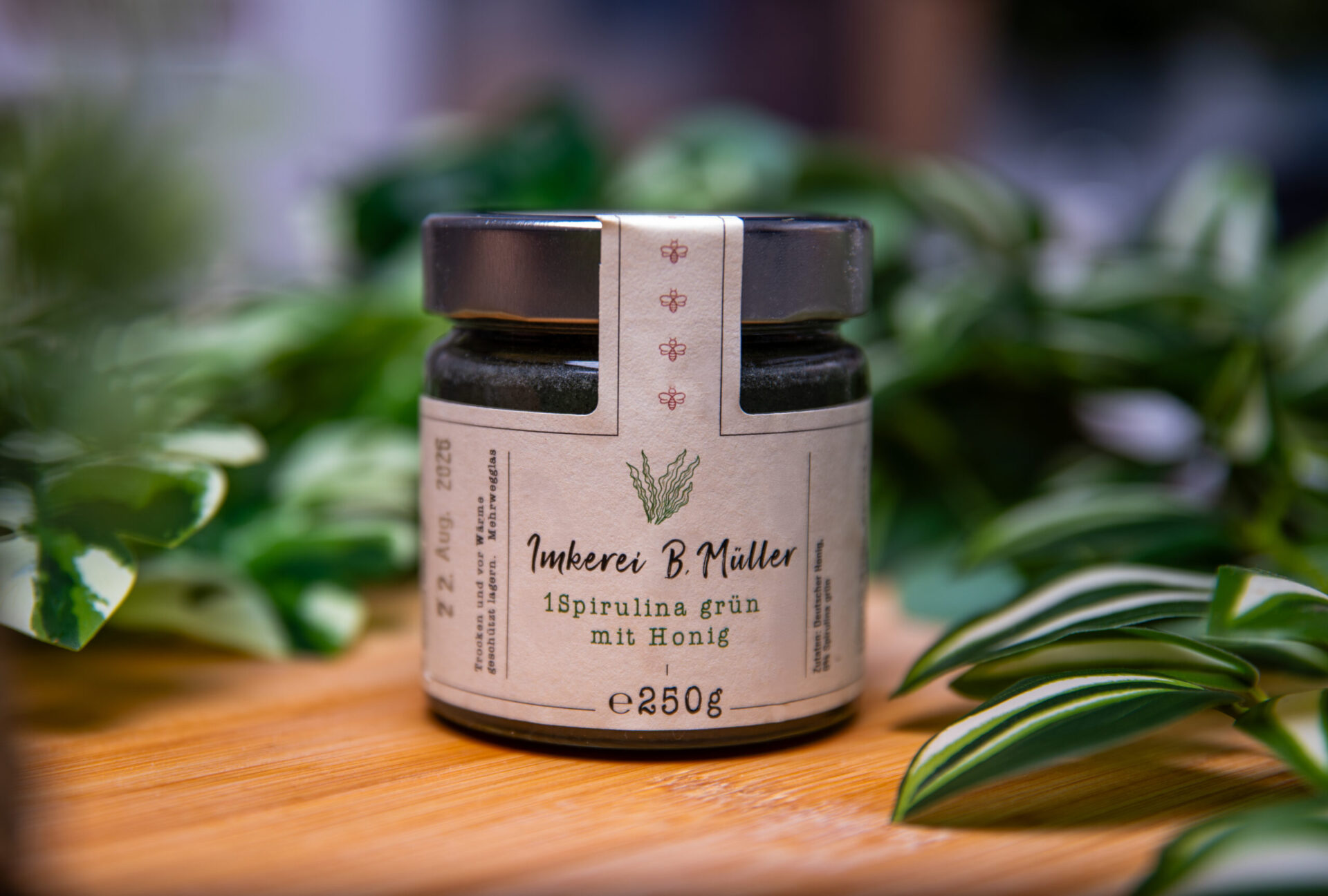 Spirulina gruen